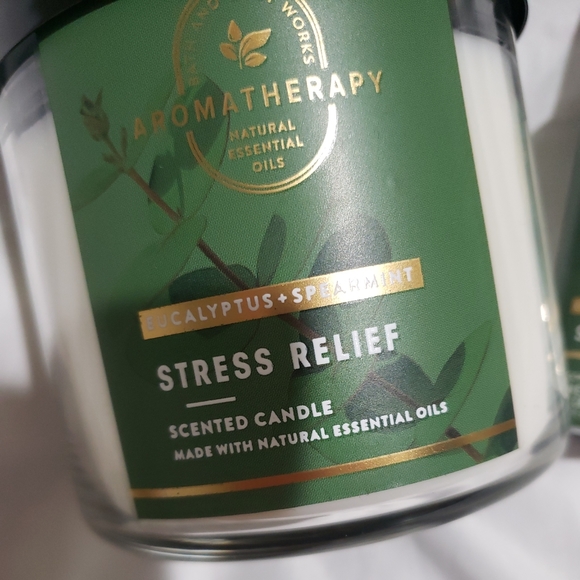 Bath & Body Works Accents Bath Body Works Aromatherapy Stress Relief Eucalyptus Spearmint